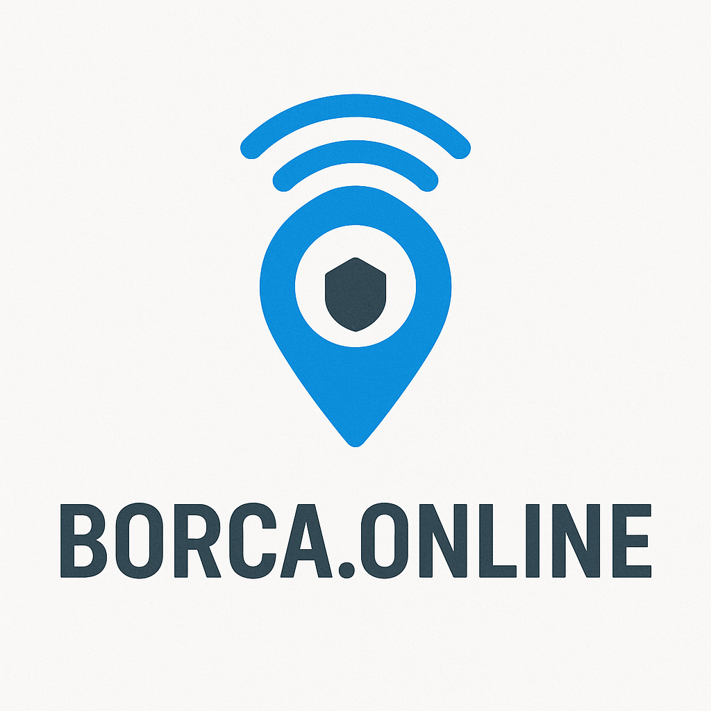 Borca.Online Logo